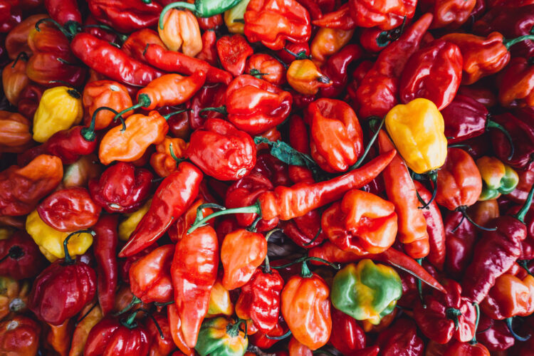A Chile Pepper Primer: Mild to Medium Chiles